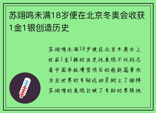 苏翊鸣未满18岁便在北京冬奥会收获1金1银创造历史 苏翊鸣未满18岁便在北京冬奥会收获1金1银创造历史