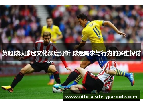英超球队球迷文化深度分析 球迷需求与行为的多维探讨