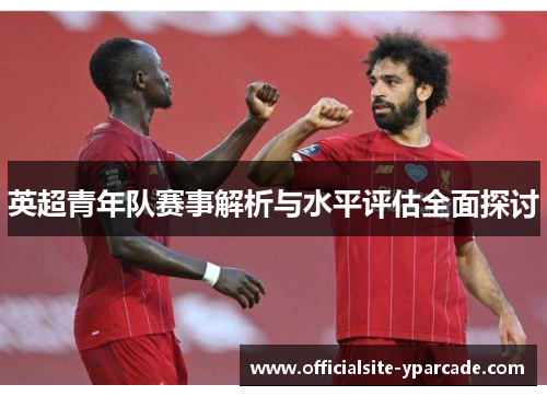 英超青年队赛事解析与水平评估全面探讨