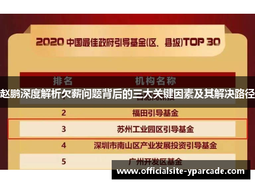 赵鹏深度解析欠薪问题背后的三大关键因素及其解决路径 赵鹏深度解析欠薪问题背后的三大关键因素及其解决路径