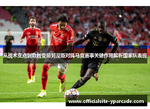 从战术支点到致胜变量努涅斯对阵马竞赛事关键作用解析国家队表现