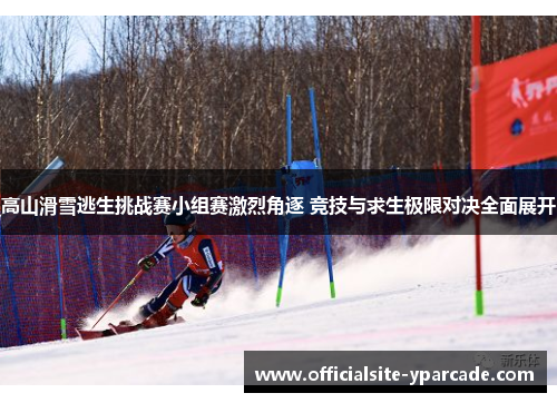 高山滑雪逃生挑战赛小组赛激烈角逐 竞技与求生极限对决全面展开