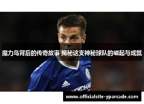 魔力鸟背后的传奇故事 揭秘这支神秘球队的崛起与成就